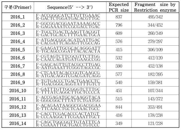 GBS 분석으로 개발된 Indel 마커의 sequence 및 증폭산물의 크기