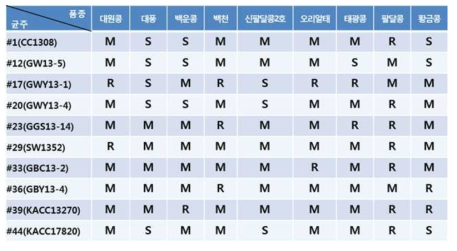 그룹별 대표 균주와 콩 품종의 반응 분류