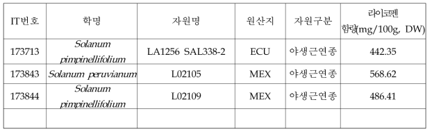 토마토 라이코펜 고함량 자원 선발