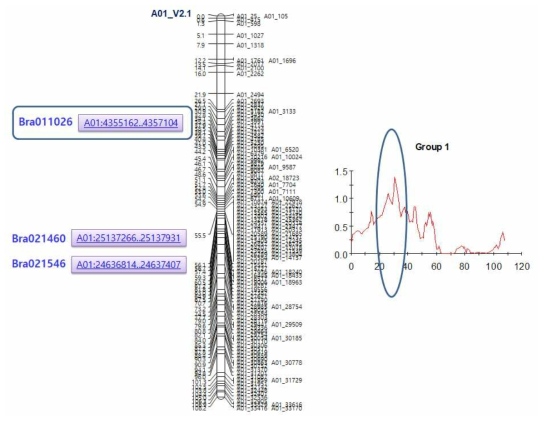 자방수 QTL A01위치와 RNA-se 후보유전자 상호 비교