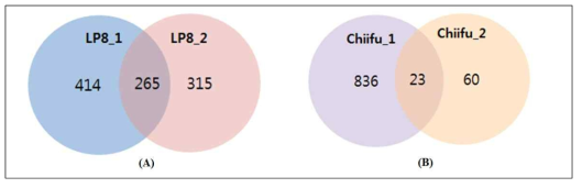 RNA-seq에서 생성된 single DEGs의 모식도 ((A) unexpressed genes in chiifu, (B) unexpressed genes in LP8_1)