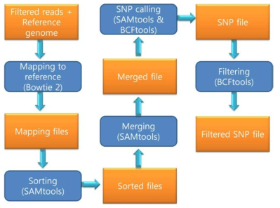 SNP calling 과정 (filter 값 Q30)