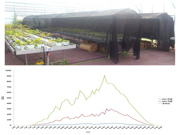 차광수준 및 차광에 따른 적산온도에 따른 정원식물소재의 개화기 조사 처리 전경