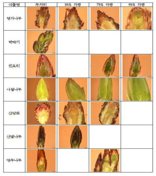 차광수준에 따른 목본성 정원식물 7종의 화아발달 조사(11월)