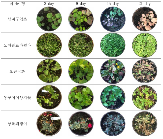 수집된 삼지구엽초 등 5종 식물소재 침수 처리 단계별 생육 이미지