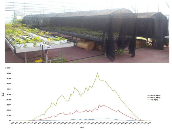 (위) : 정원식물 내음성 시험 처리 전경, (아래) : 처리기간 동안 조도조건