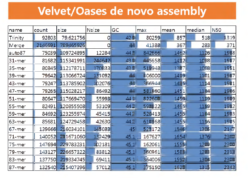 de novo assembly of Miseq reads by Velvet/Oases