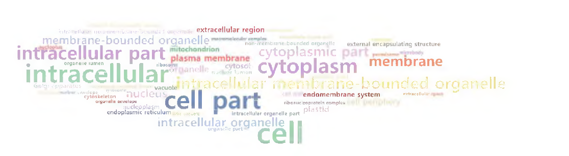 Word cloud of GO terms of cellular component direct GO counts