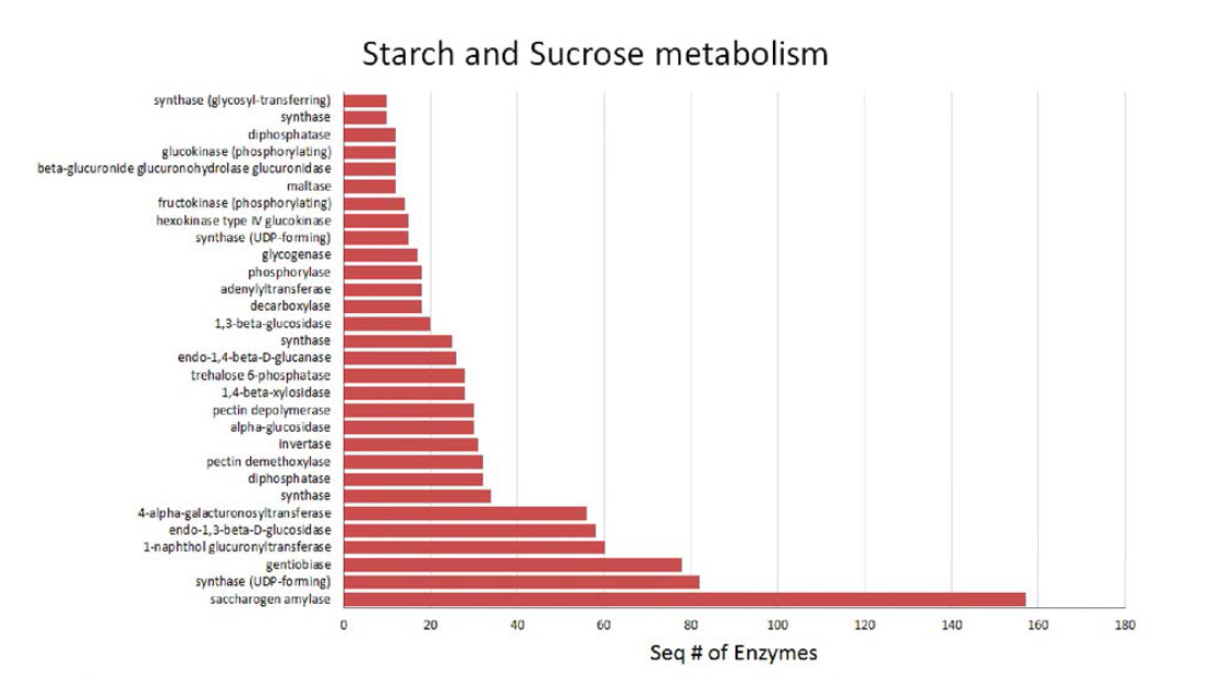 Enzyme mapping distribution of KEGG map of starch and sucrose metabolism