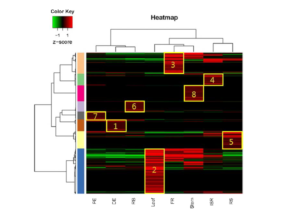Tissue specific gene set analysis by edgeR and clustering