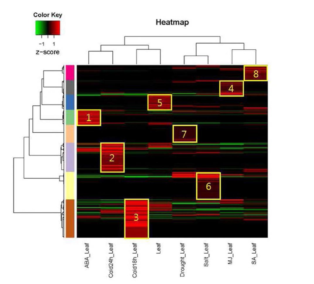 Stress specific gene set analysis of Leaf by edgeR and clustering