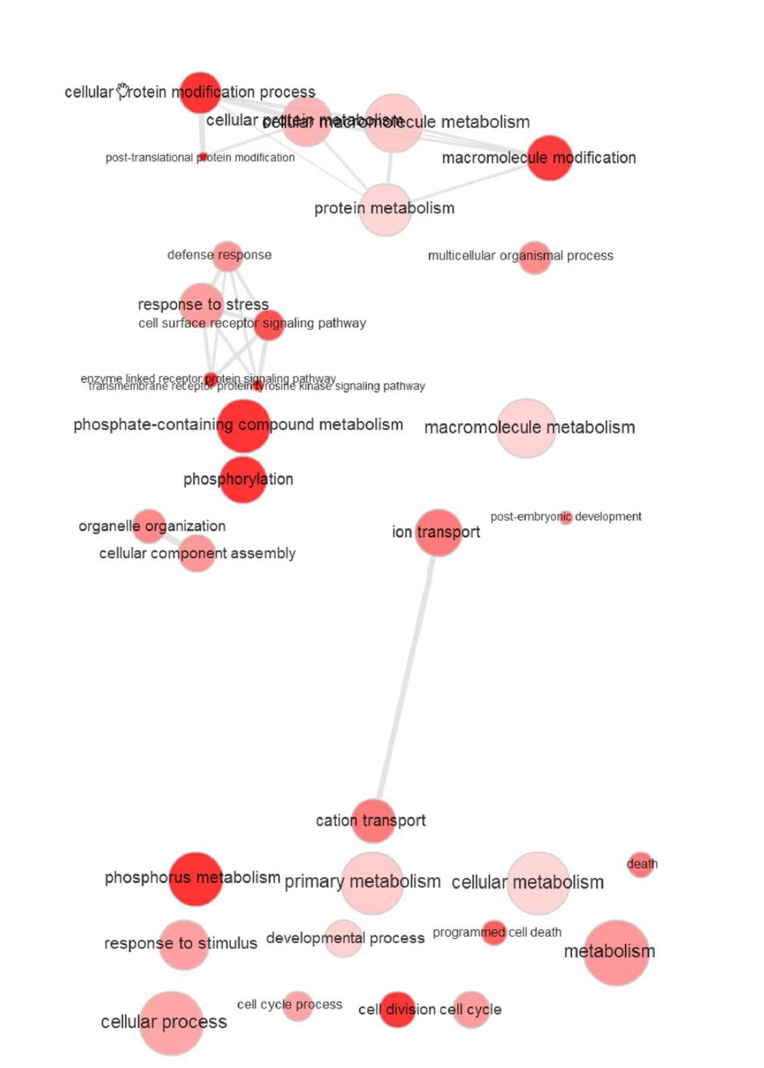 ISR 특이적 유전자들의 상호 네트워크