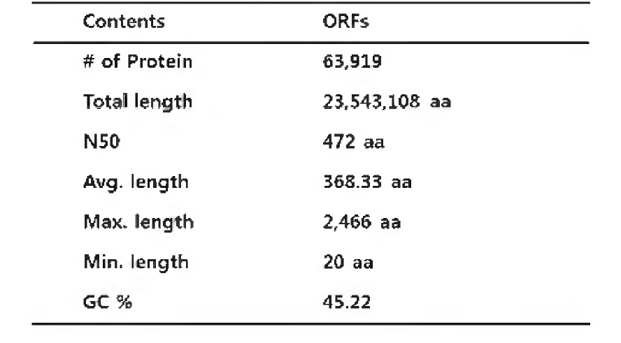 고구마 표준전사체 protein 정보