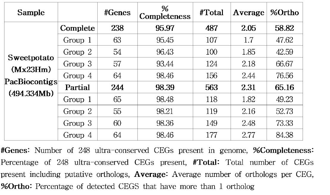 CEGMA(v2.4) 분석을 통한 Mx23Hm PacBio contigs quality check