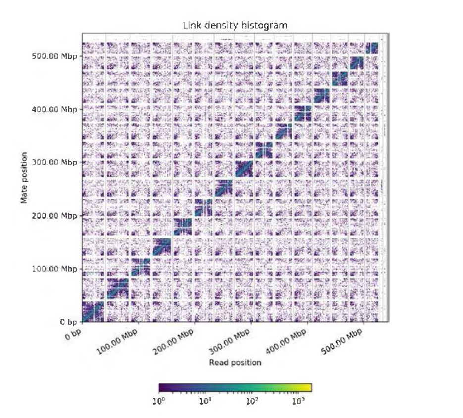 Hi-C 분석 link density histogram