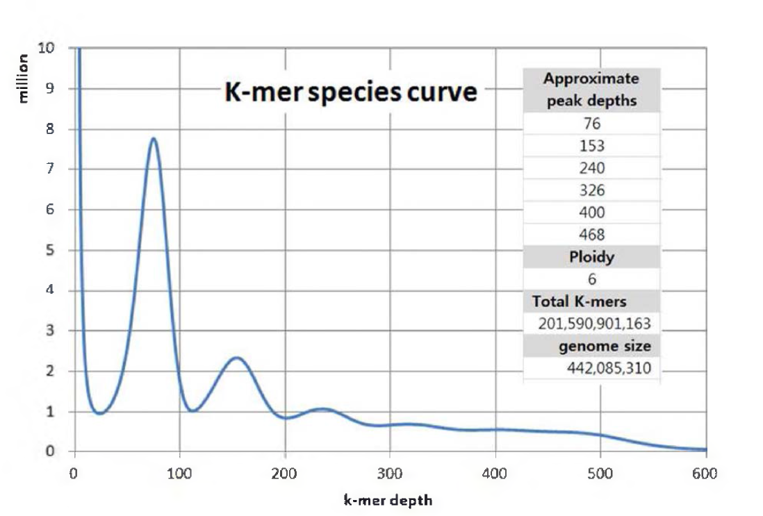 K-mer 분석을 통한 고구마 유전체 크기 분석