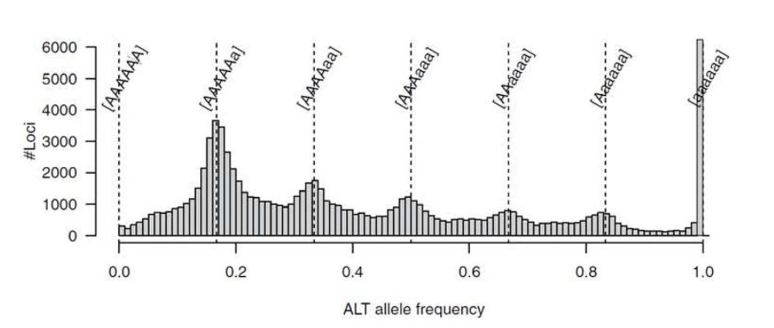 Xushu 18의 S1 집단을 이용한 ALT allele 분석(Kazusa DNA 연구소)