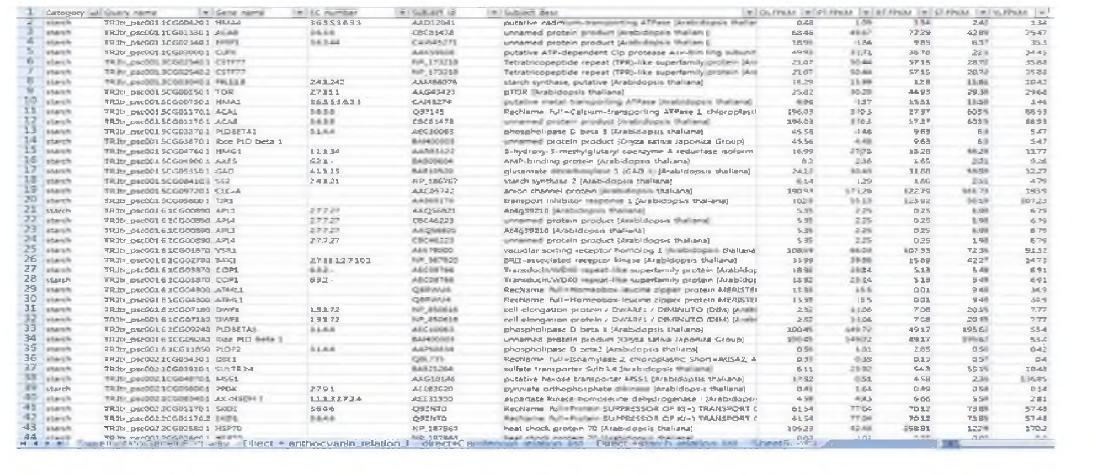 KEGG Pathway 이용 고구마 대사관련 유전자 분석 리스트