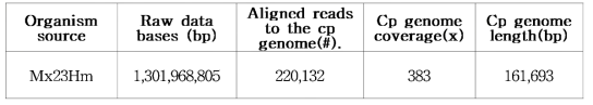 Mx23Hm 고구마 엽록체 유전체 구조분석 결과