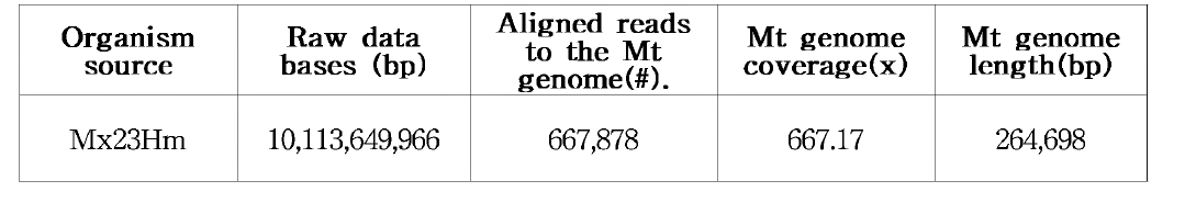 Mx23Hm 고구마 미토콘드리아 유전체 구조분석 결과