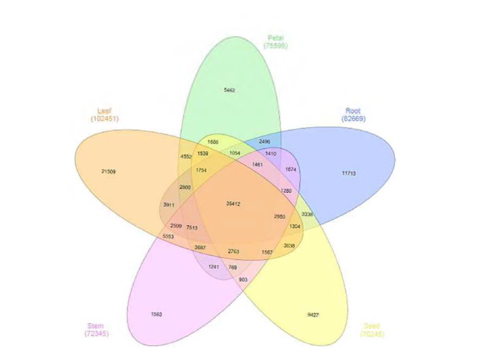 조직부위별 발현되는 유전자 조사를위한 Venn diagram