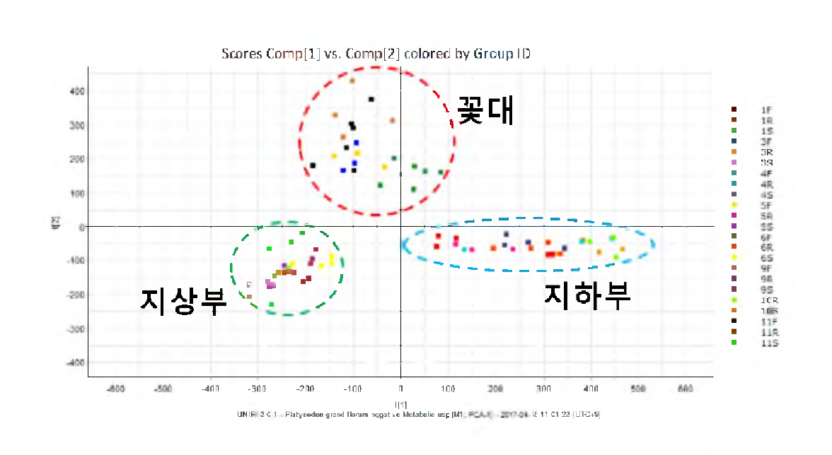 도라지 부위별 (지상부，지하부, 꽃대)의 UPLC-QTOF/MS 데이터 PCA score plot