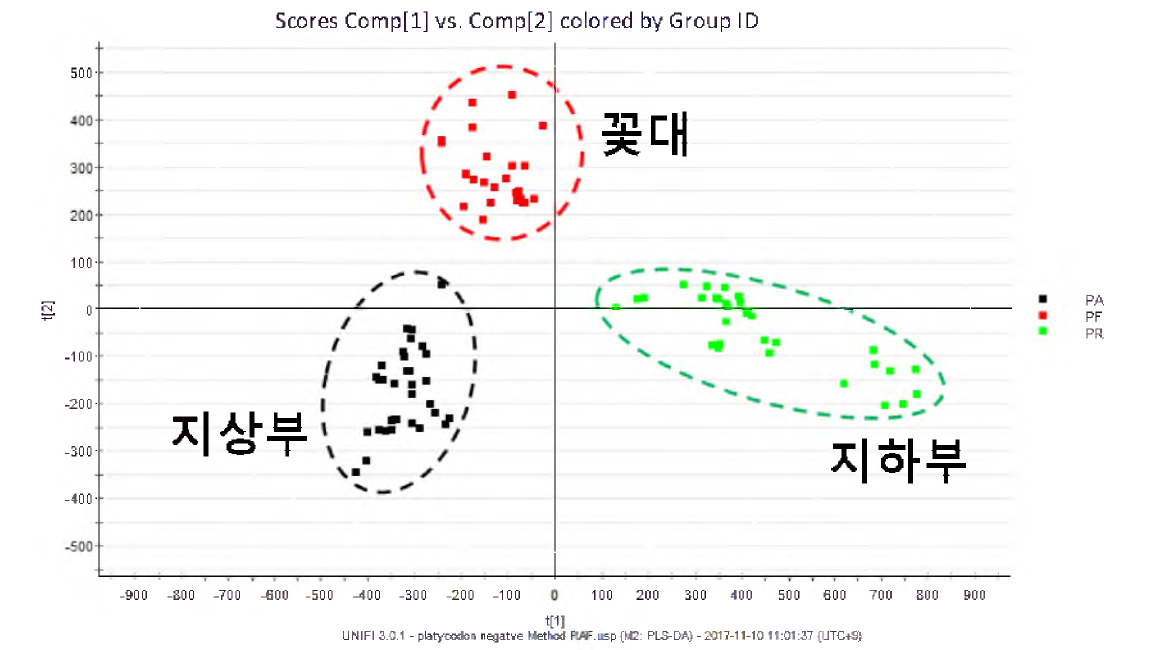 도라지 부위별 UPLC-QTOF/MS 2차대사체 데이터 PLS-DA score plot