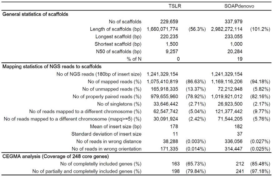 Comparison of genomes assembled by TSLR strategy and SOAPdenovo