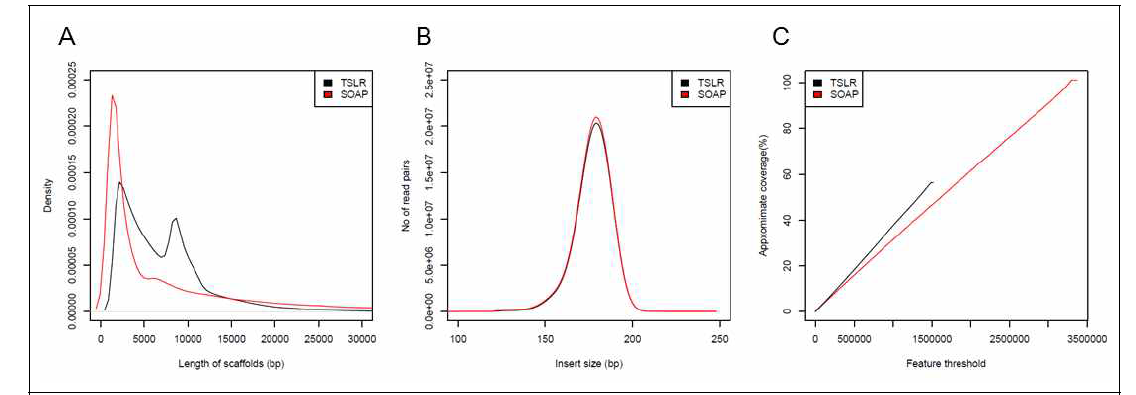 Comparison of genomes assembled by TSLR and SOAPdenovo. (A) Distribution of length of scaffolds. (B) Distribution of insert size of mapped reads on scaffolds. After NGS reads with 180bp as the insert size were mapped to the scaffolds, the distance between each pair was plotted. (C) Feature Response Curve to evaluate genome assembly. The steeper curve in TSLR suggests that TSLR assembly is better than SOAPdenovo. Black and red lines are the result from TSLR and SOAPdenovo, respectively