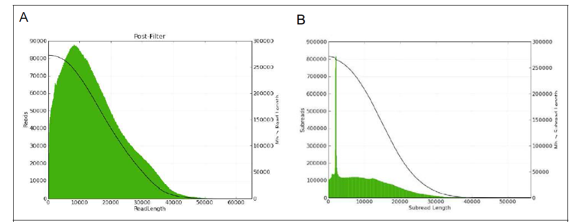 Length distribution of polymerase reads (A) and subreads (B)