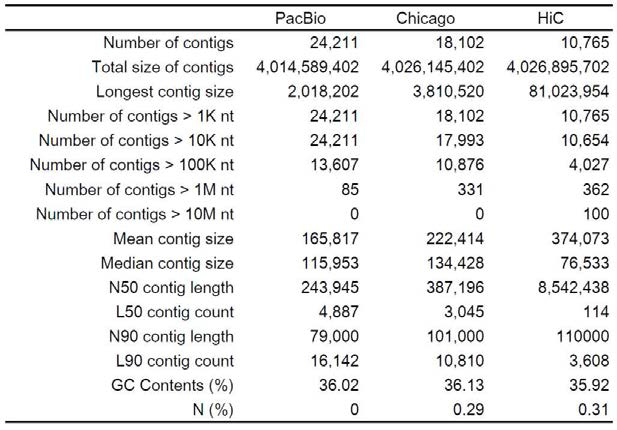 Statistics of genome improved by Chicago and HiC experiment