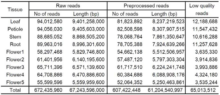 Statistics of raw and preprocess NGS reads for RNA-seq analysis