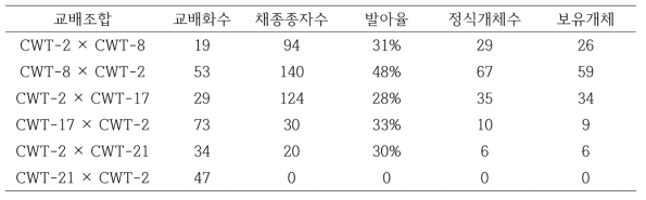 Summary of Chrysanthemum F1 population