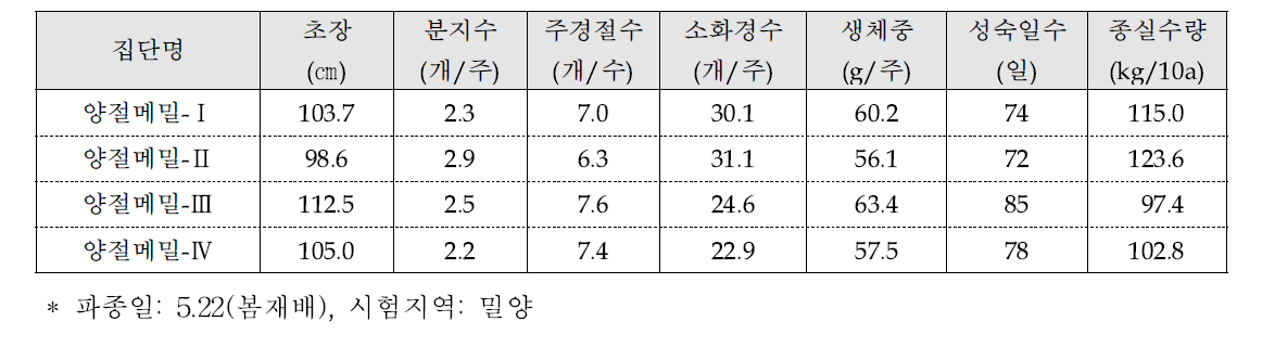 양절메밀(표준품종) 분리집단 특성(2014년)