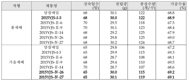 양절형 조숙 선발계통의 작형별 수량 및 가공특성(2016년)