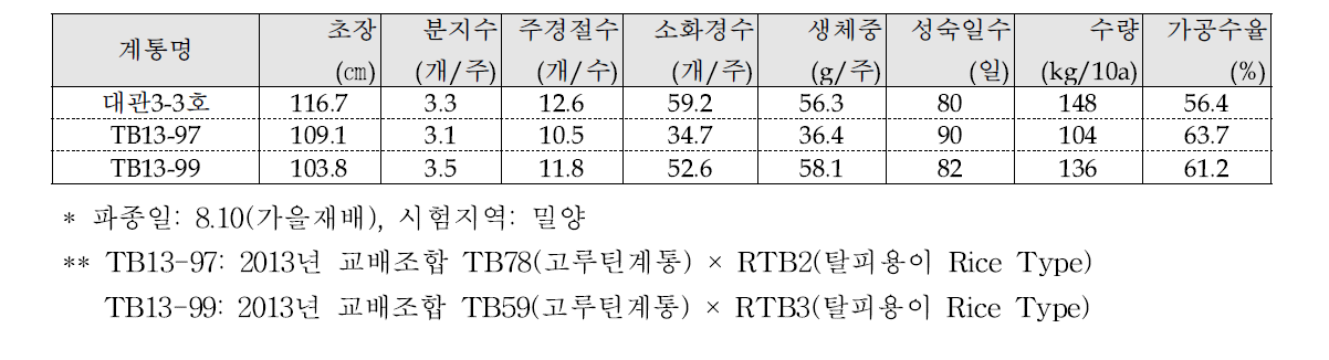 쓴메밀종 표준품종 및 루틴고함유 계통의 생육 및 수량특성(2014년)