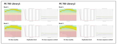 PE 700bp 라이브러리 염기서열 해독 QC 결과