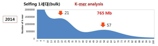 쓴메밀(대관3-3) 자식 1세대 식물체의 K-mer 분석 결과