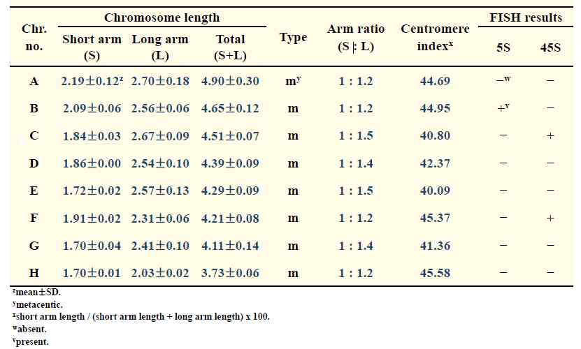 Summarization of chromosome characters of F .tartaricum