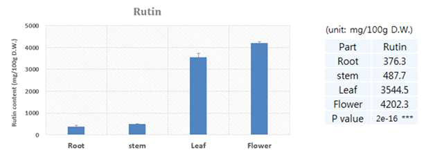 쓴메밀 식물체 부위별 루틴함량 분석