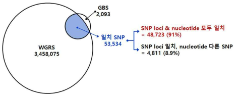 들깨 resequencing 방식과 GBS 방식 기반 total SNP 일치성