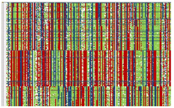 Genotyping matrix에서 missing rate < 50% filtering 결과 (SNP loci = 10,239)