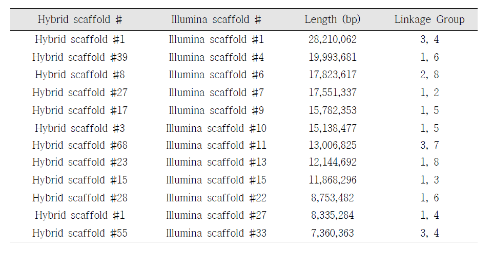 연관군 내 나뉘는 Illumina scaffold와 hybrid scaffold의 counterpart 확인