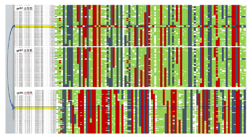 F2 집단의 binmap을 이용한 Hi-C gr07 수정후의 genotyping pattern