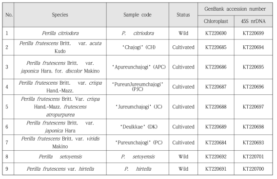 엽록체 유전체와 45S nrDNA 염기서열 분석에 사용한 9종의 들깨 및 염기서열 등록번호