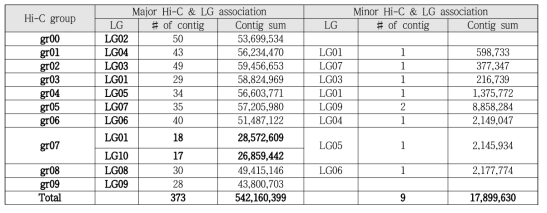 373개 contig를 Hi-C와 비교한 결과