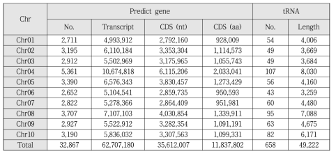 염색체별 유전자와 tRNA의 예측 결과