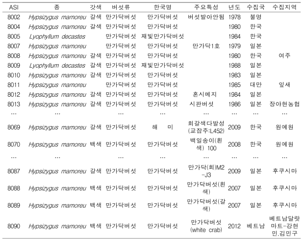 수집된 만가닥버섯 균주리스트