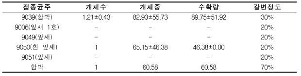 잎새버섯 2차 봉지재배시 수확량 및 특성