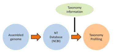 원황배 Taxonomy 프로파일링 분석 모식도